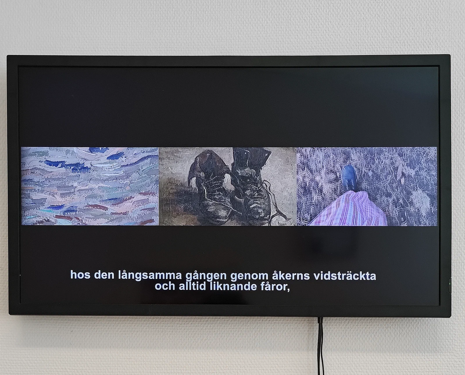 exhibition photo
